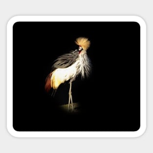 Grey crowned crane Sticker